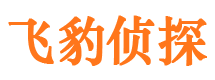 清城外遇出轨调查取证